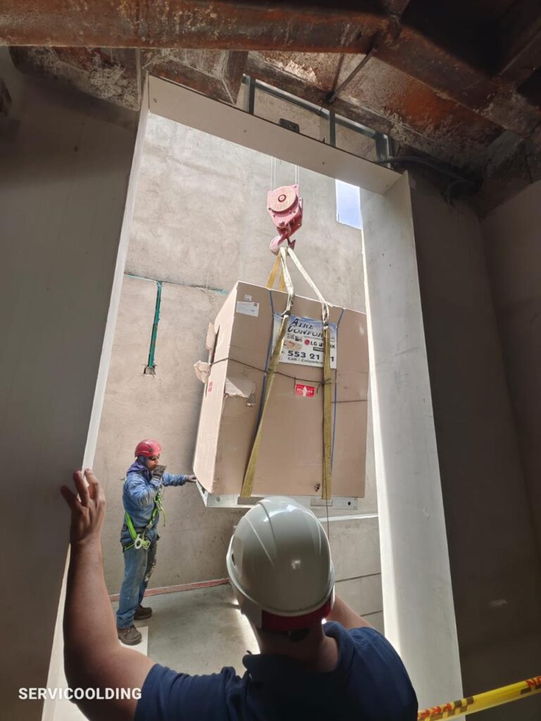 WhatsApp Image 2025-11-28 at 11.16.27 AM (3)